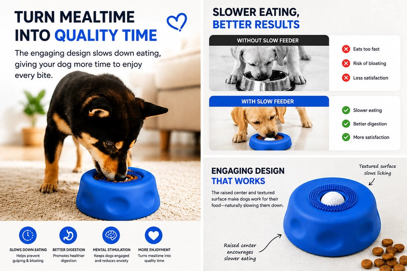 Dog Liquid Lick Bow Dog Slow-Feeding Plate promoting slower eating for better digestion and mealtime quality.